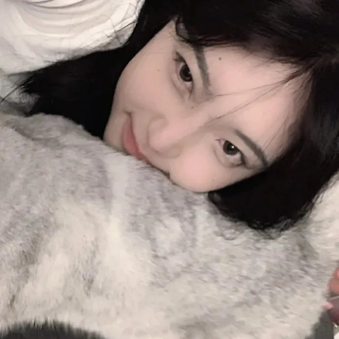 胡同猫